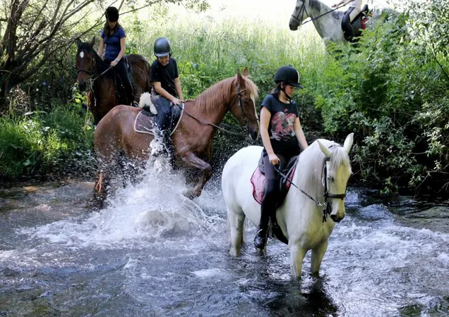 Rutas a Caballo en Cangas de Onís (Asturias)