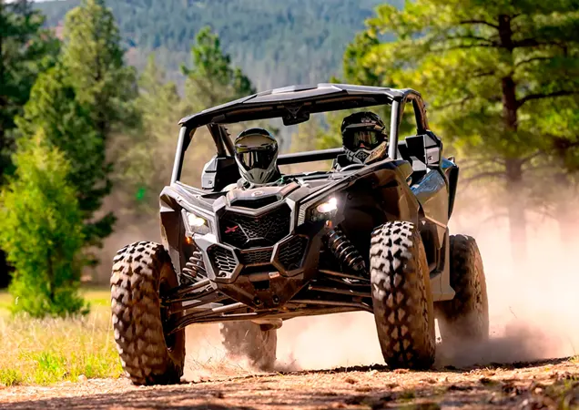 Rutas con Buggies en Cangas de Onís (Asturias)